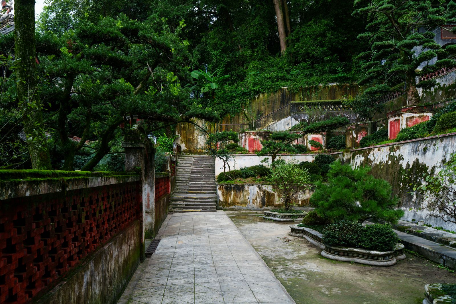 Gardening & Landscaping work 1