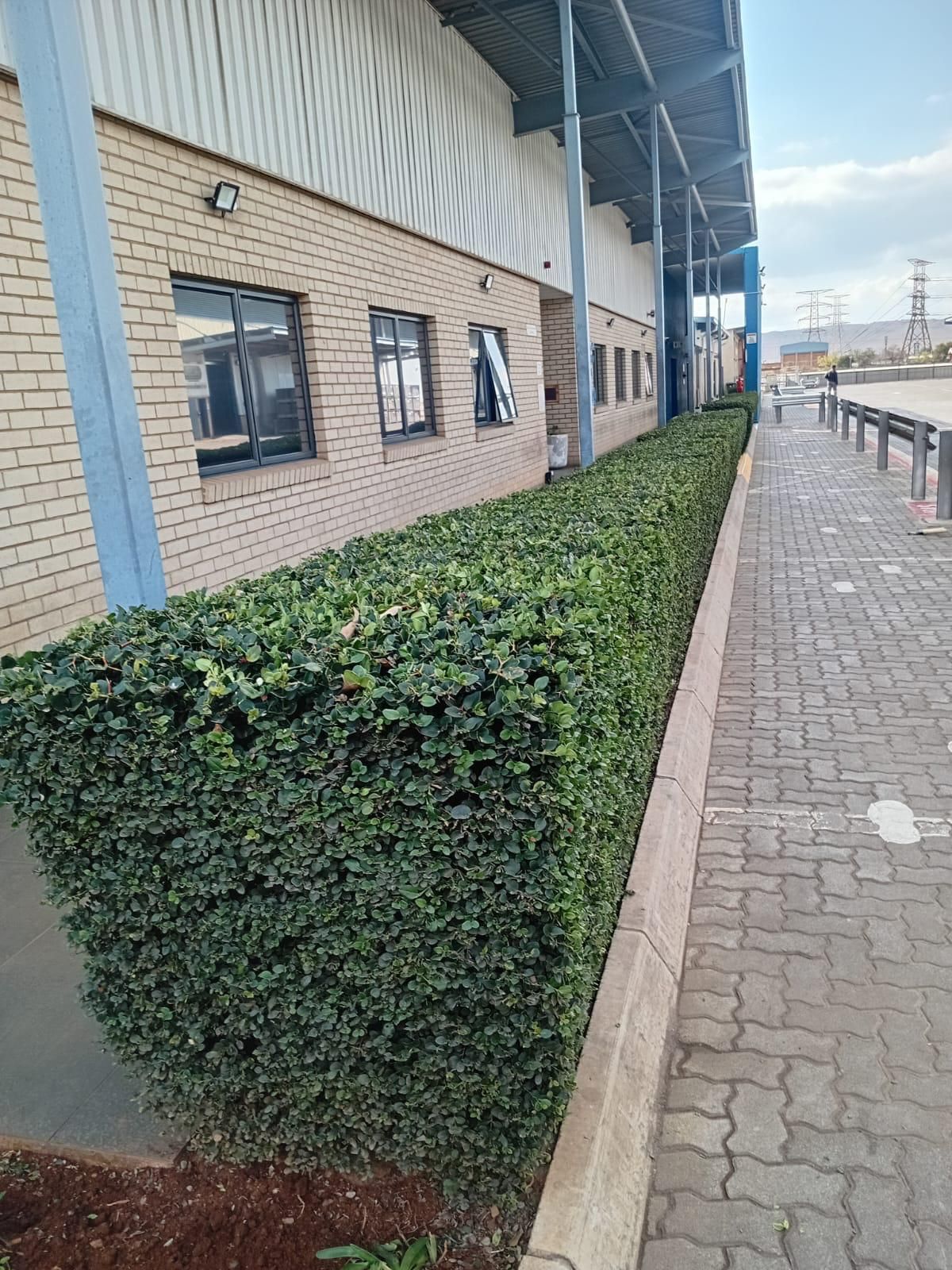 Gardening & Landscaping work 6