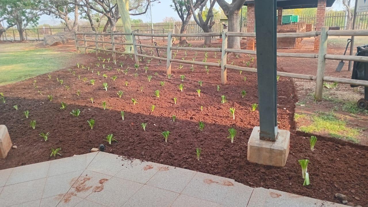 Gardening & Landscaping